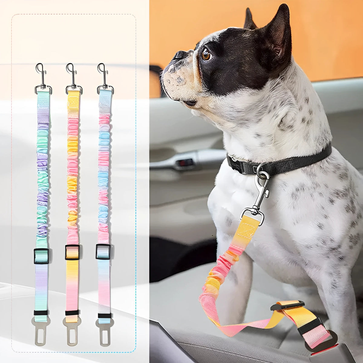 Elastic polyester pet hand holding rope for car use, 60-80cm long and 2.5cm wide, in gradient colours