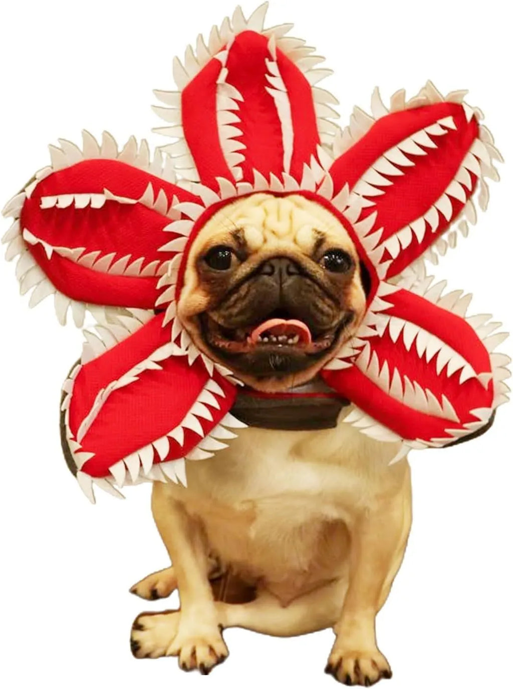 Dog wearing green and red Halloween chomper costume with demon hat headband and colourful flowers