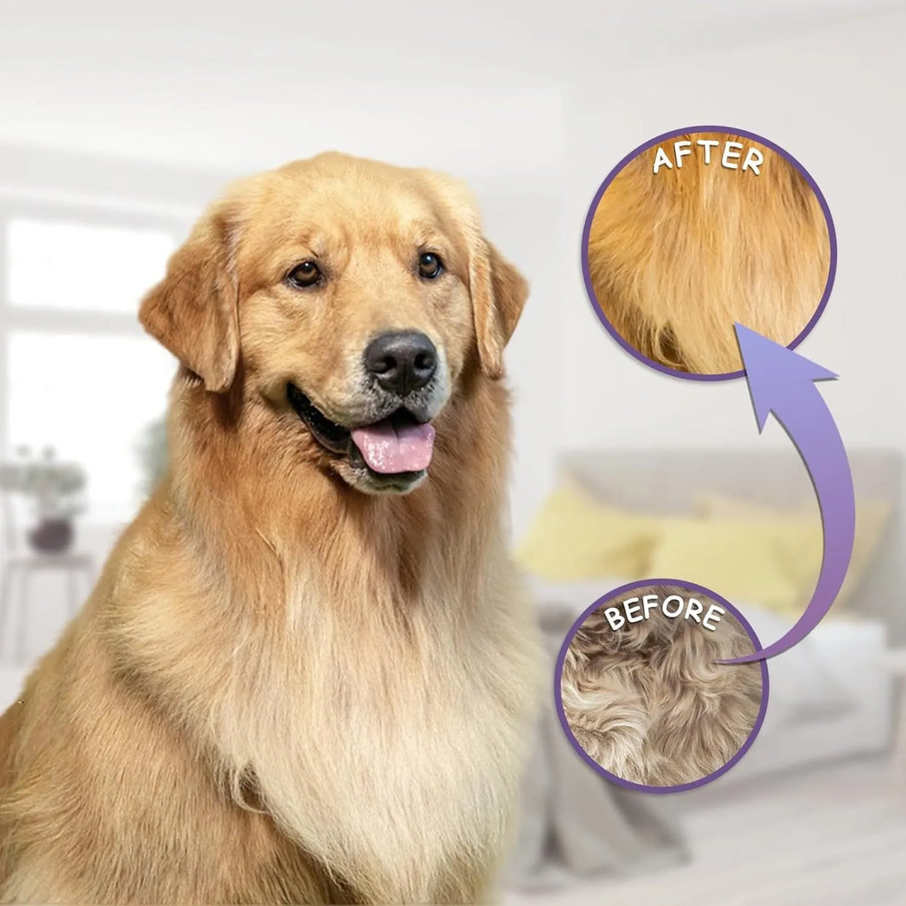 Purple pet detangling comb with stainless steel teeth and ergonomic handle on white background.
