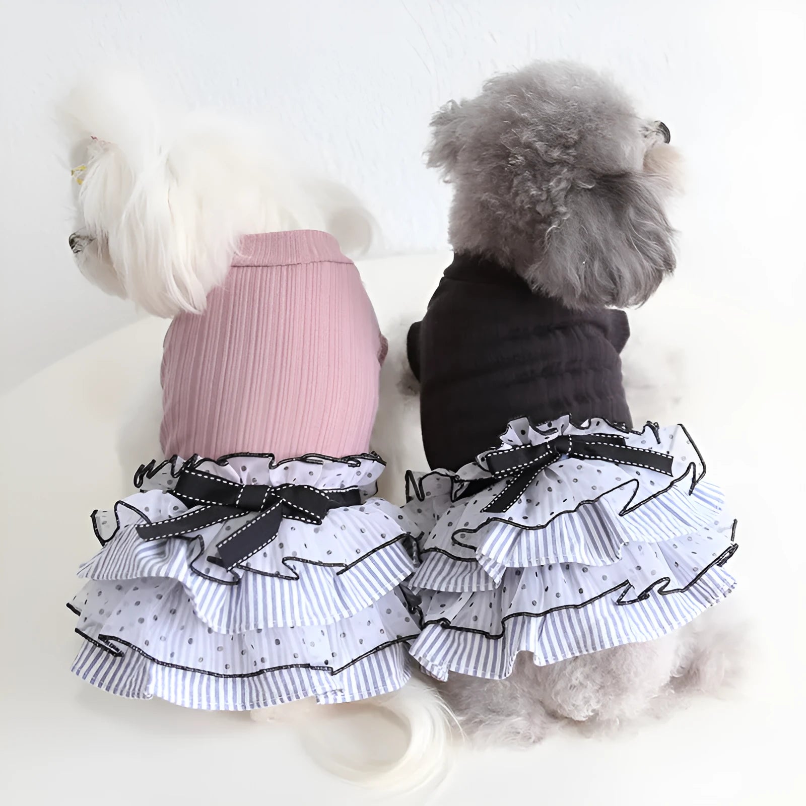 Polka dot lace cake dress pet clothing in princess style for small dogs