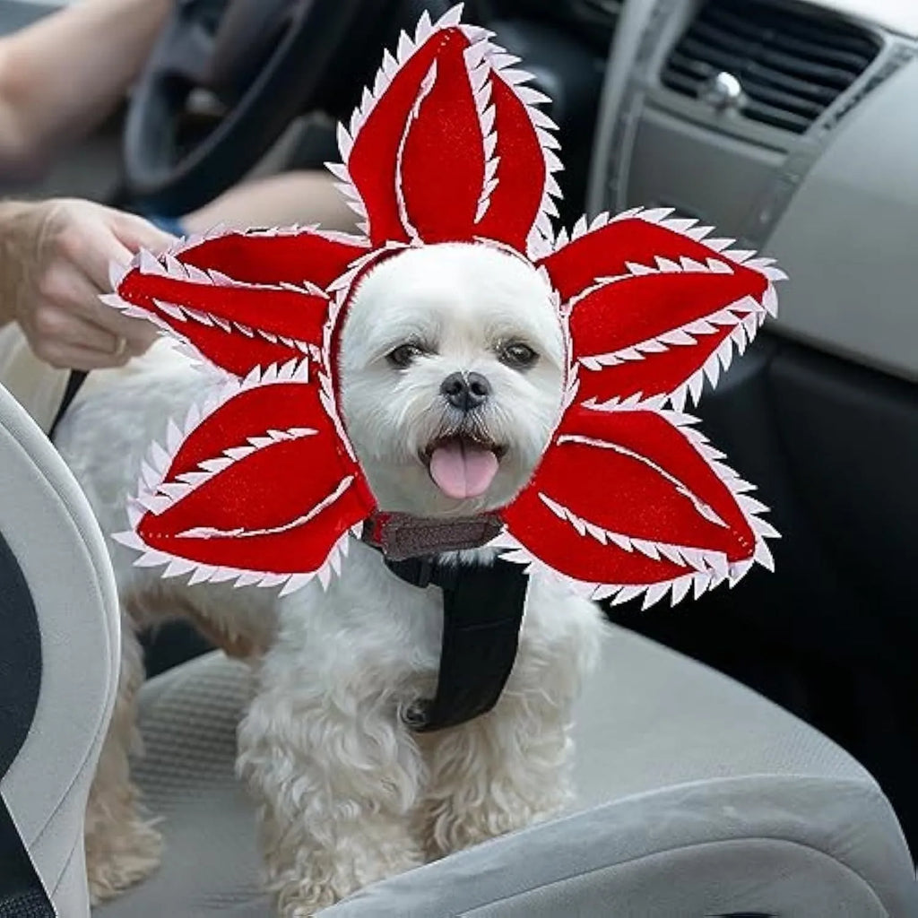 Dog wearing green and red Halloween chomper costume with demon hat headband and colourful flowers