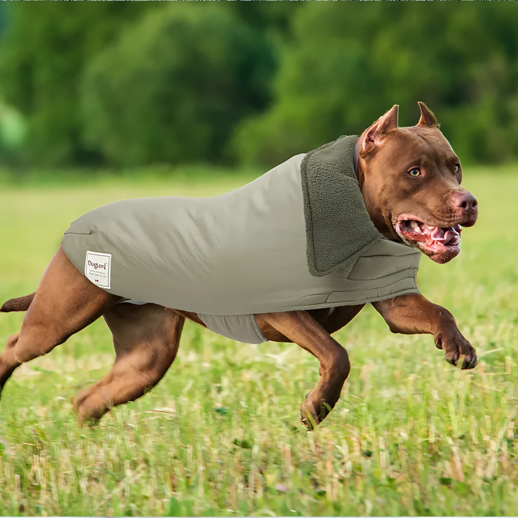 Solid colour dog winter vest with cotton padding for warmth in sizes S M L XL.
