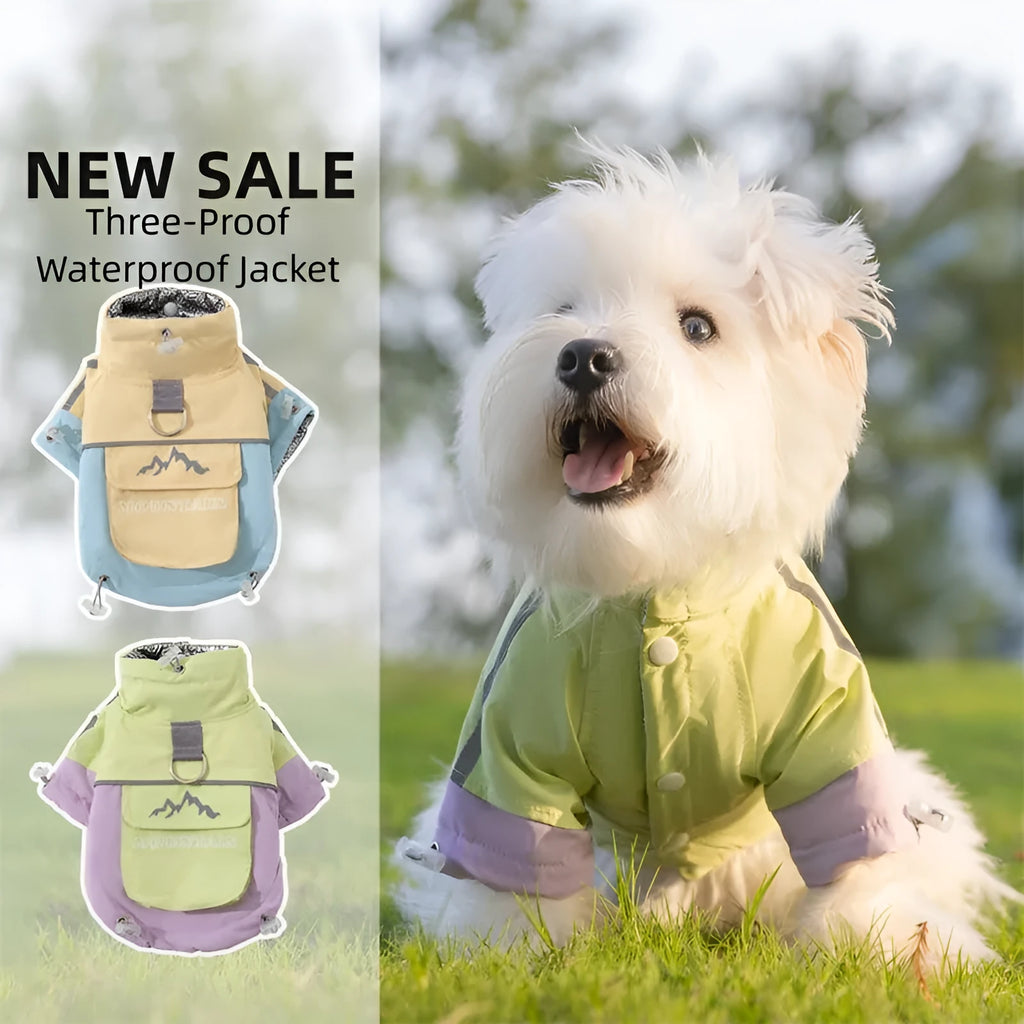 Dog windbreaker in sunny yellow-blue colour block, windproof two-legged cotton coat with tall collar and D-ring on a small dog
