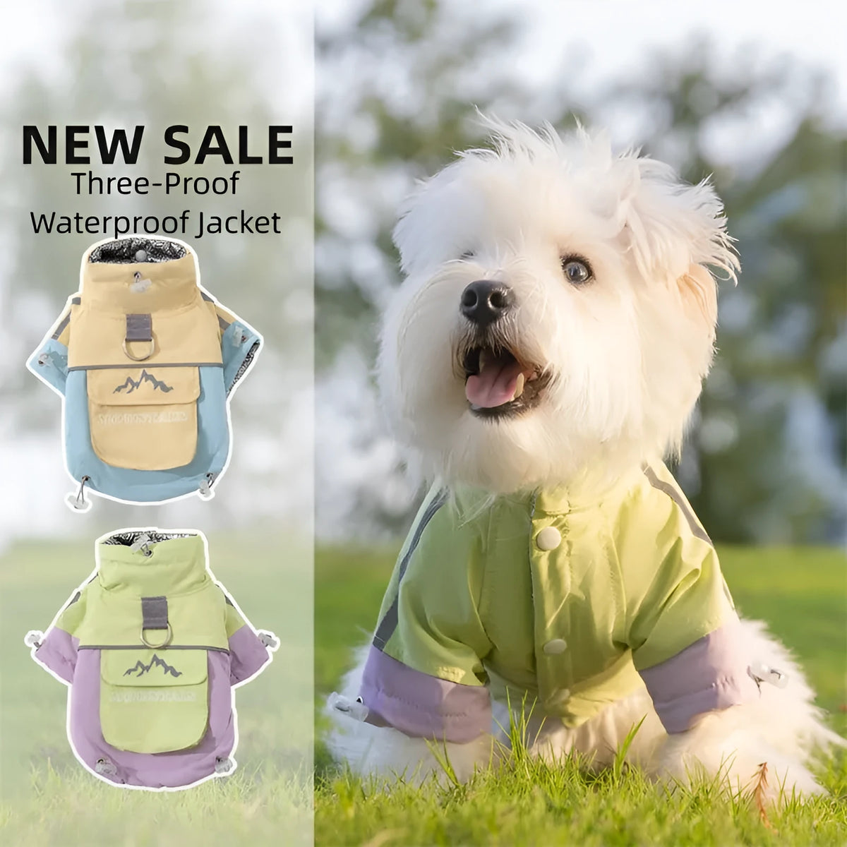 Dog windbreaker in sunny yellow-blue colour block, windproof two-legged cotton coat with tall collar and D-ring on a small dog
