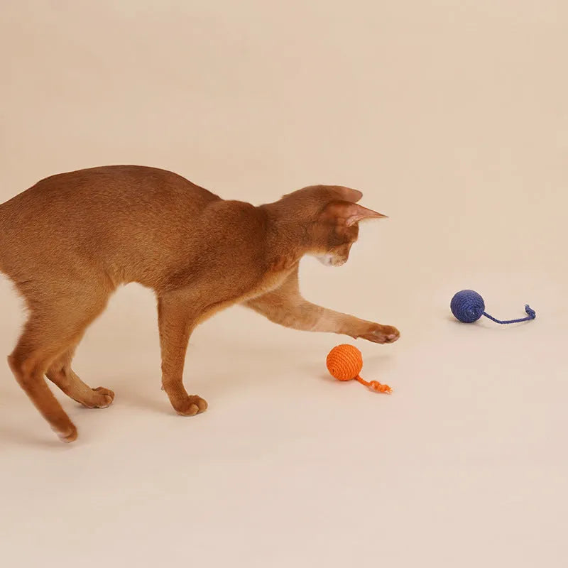 Cat teaser stick toy set with a colourful bite-resistant catnip ball on a 255mm long wand.