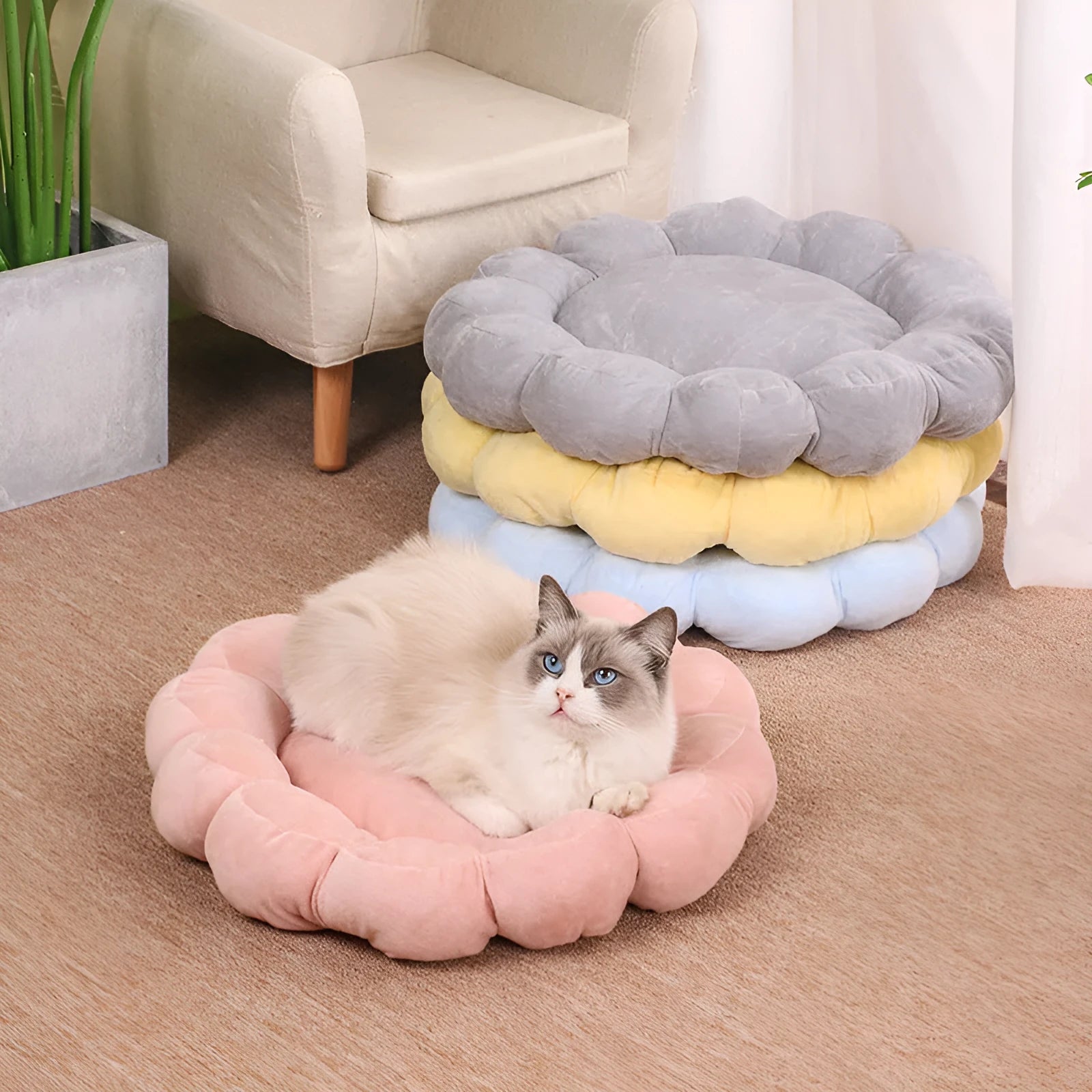 Blue half-surrounded petal-shaped pet bed for dogs and cats on a wooden floor