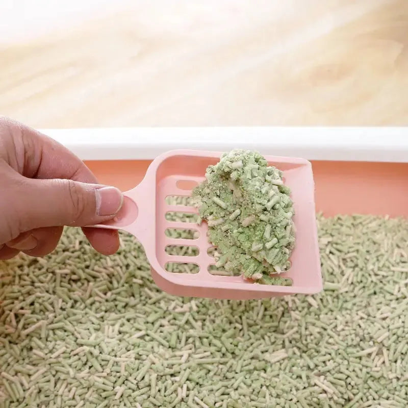 Plastic cat litter scoop in blue, green or pink colours showing 20cm length