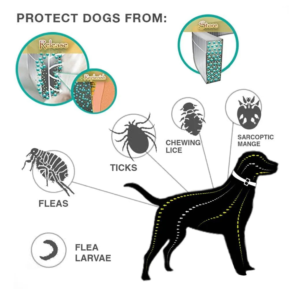 Waterproof adjustable insect repellent dog collar, grey plastic, 70cm length, for flea and tick removal