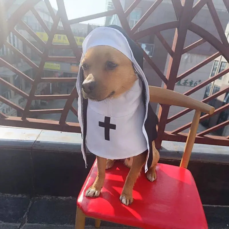 Black and white nun costume for small to medium dogs with pullover design