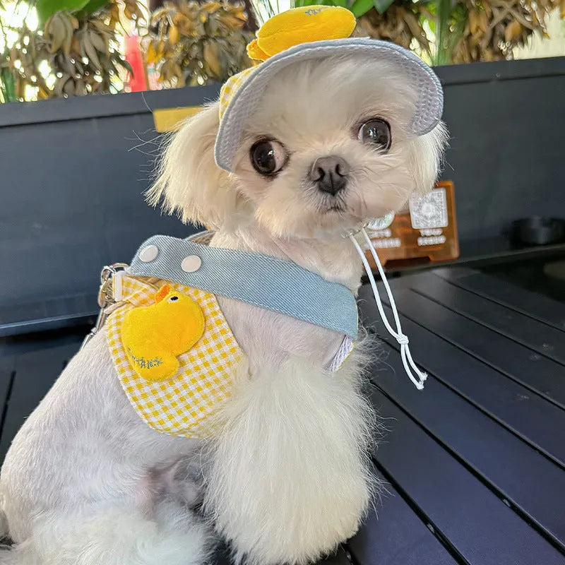 Three-piece pet set showing dog harness with leash, wire rope pulling toy and cat wearing matching clothes with hat