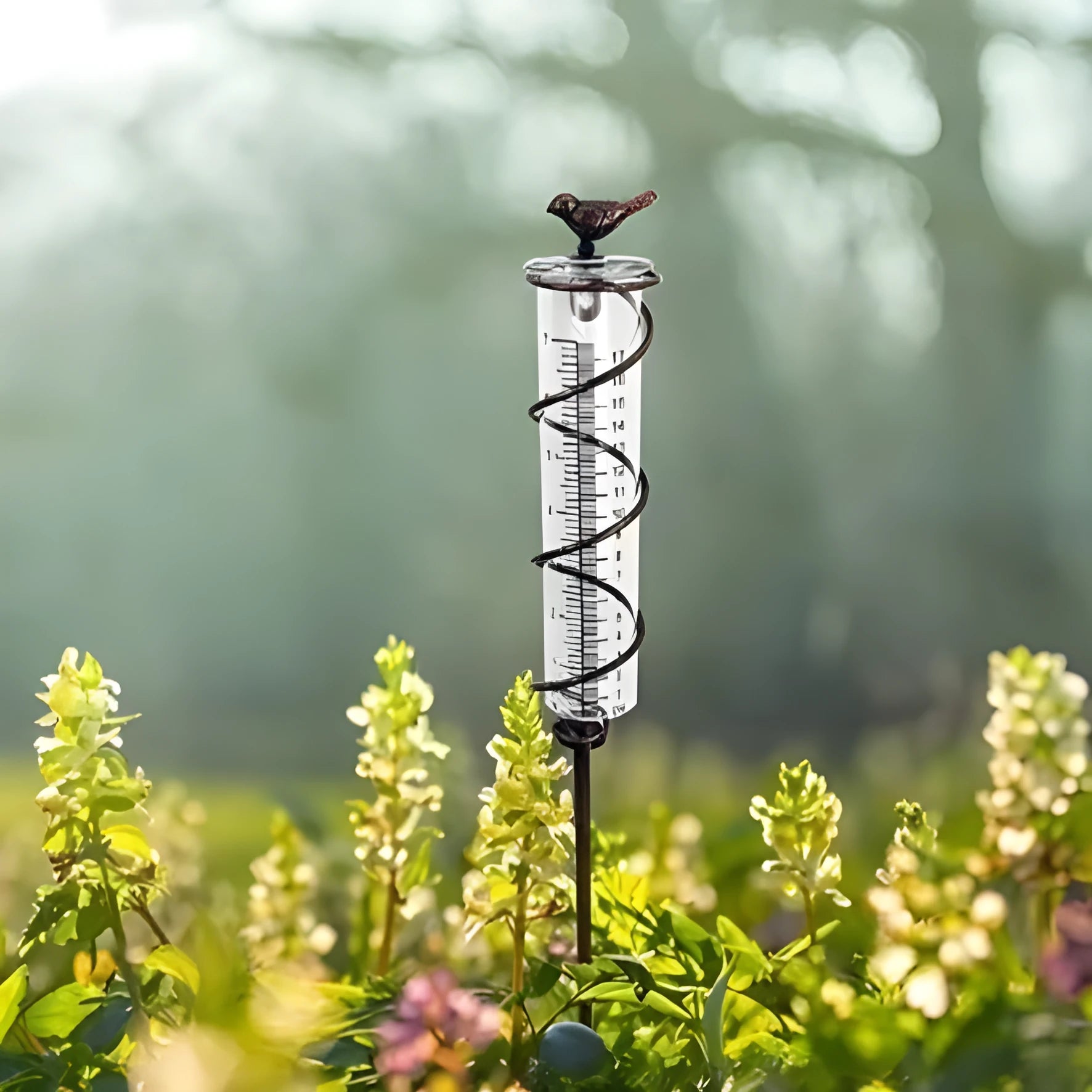 Glass rain gauge with cast iron hummingbird base for outdoor garden rainfall measurement.