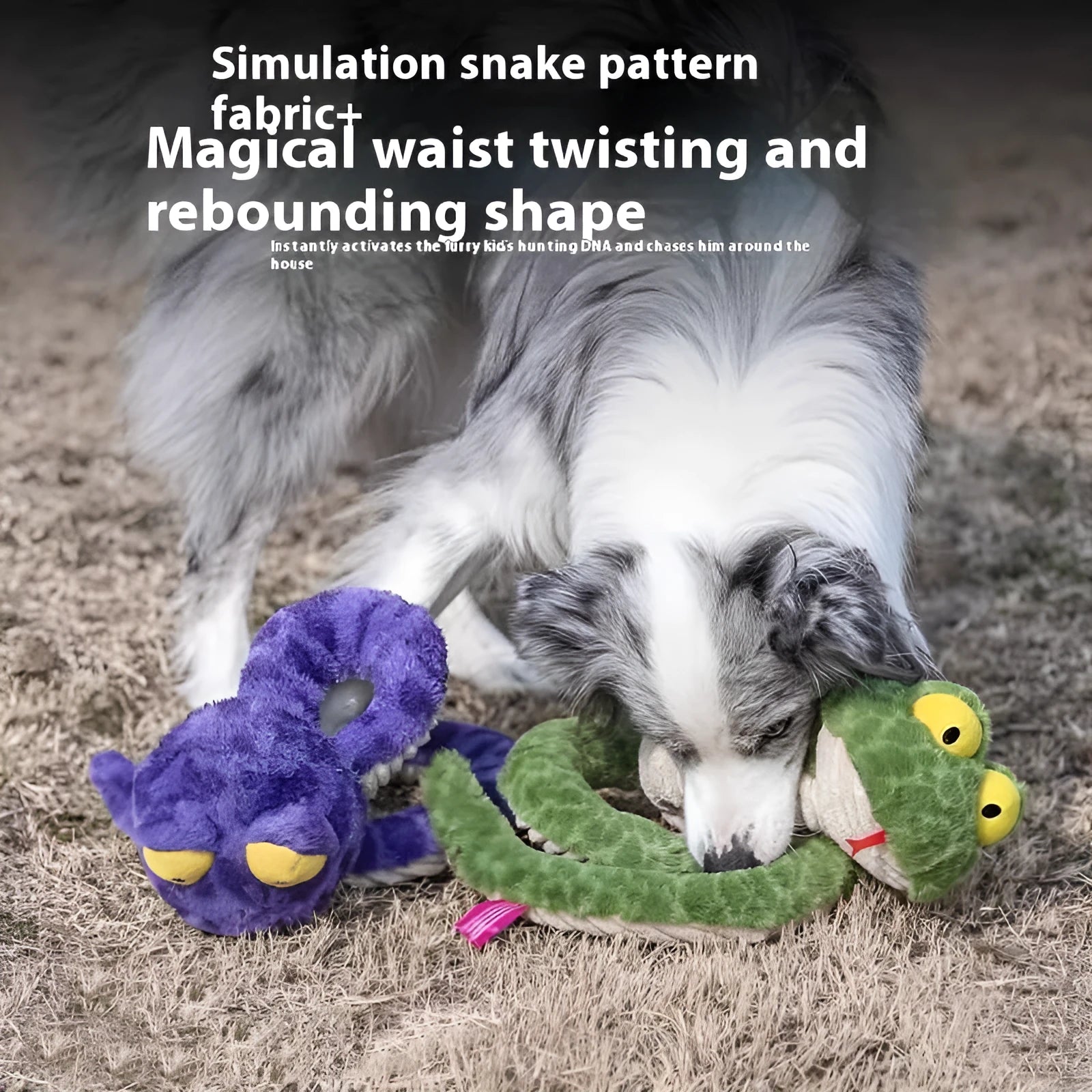 Pet molar long lasting sounding dog toy in plush green fabric for interactive chew play
