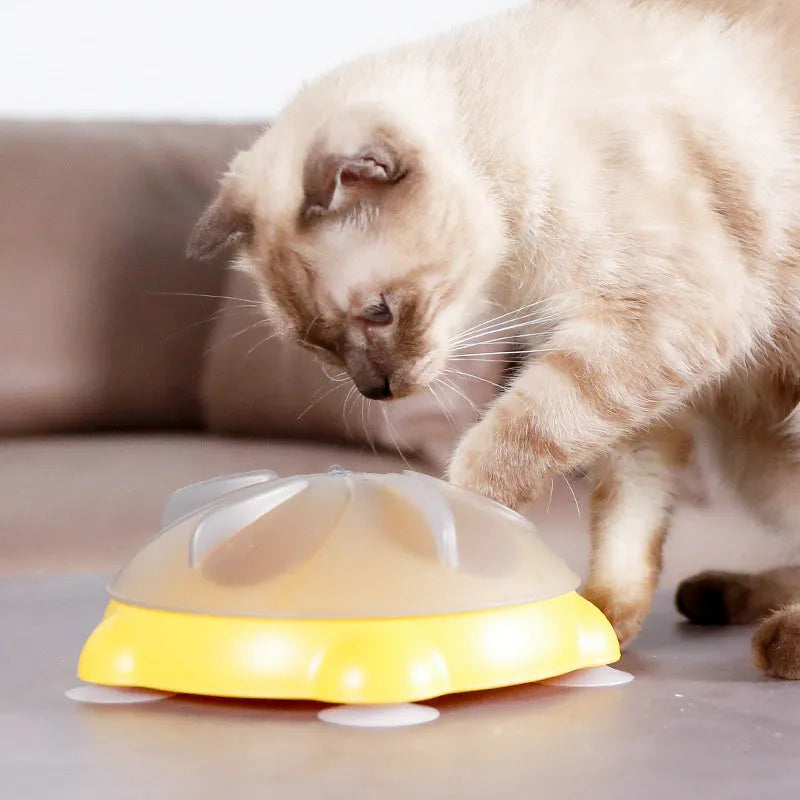 Yellow plastic cat slow feeder bowl with storage compartment and textured interior