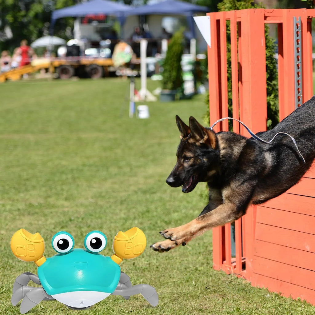 Blue crawling crab dog toy with obstacle avoidance sensor and interactive lights