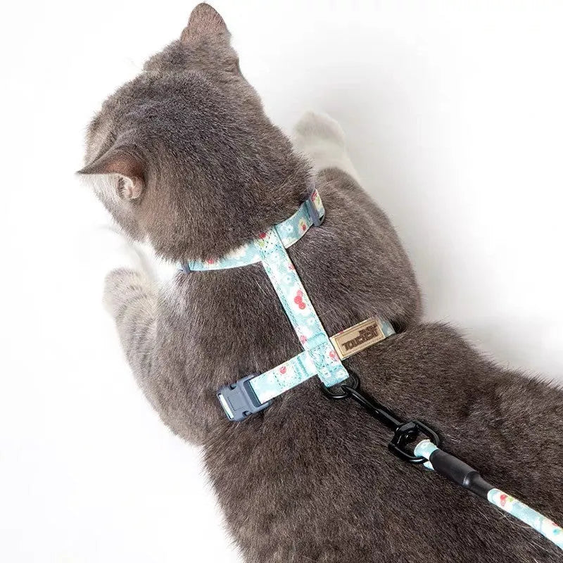 Nylon slipping cat rope harness and lead set in denim blue with adjustable neck and chest straps for small cats