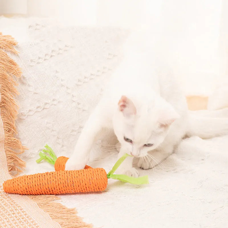 Set of interactive cat toys including carrot bites, paper toys with ringing stones, cat sticks, and tooth grinding sticks