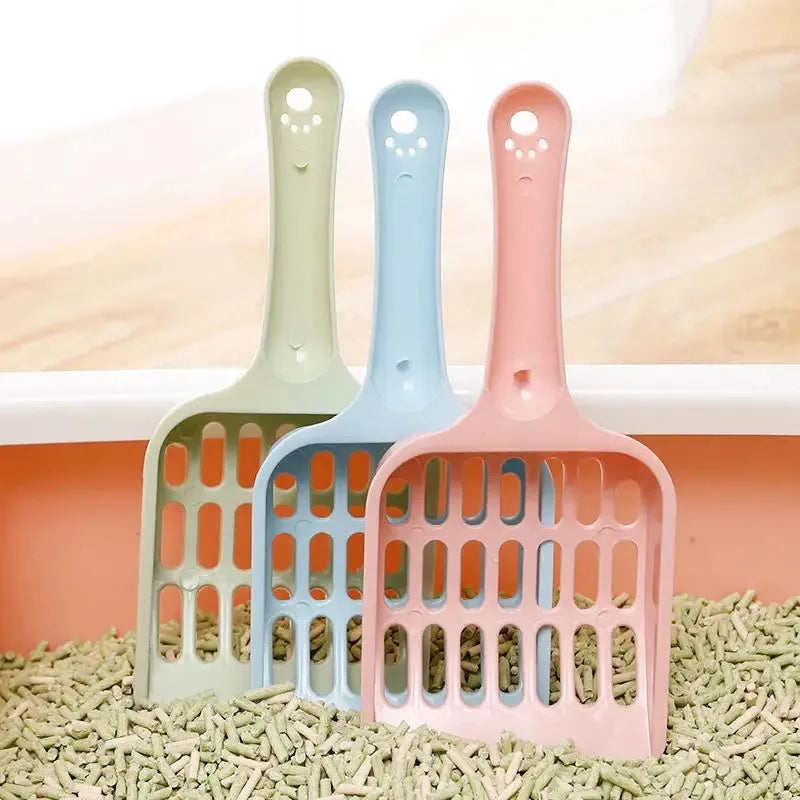 Plastic cat litter scoop in blue, green or pink colours showing 20cm length
