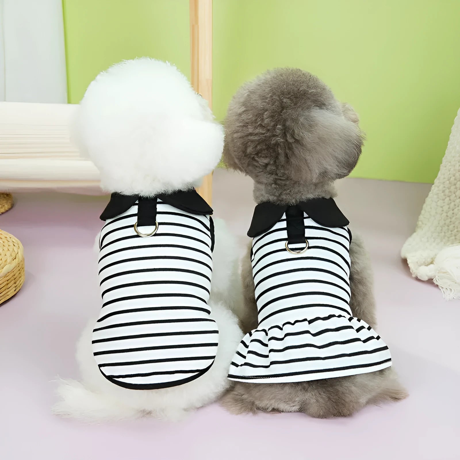 A dog wearing a striped cotton t-shirt and matching skirt summer outfit set.