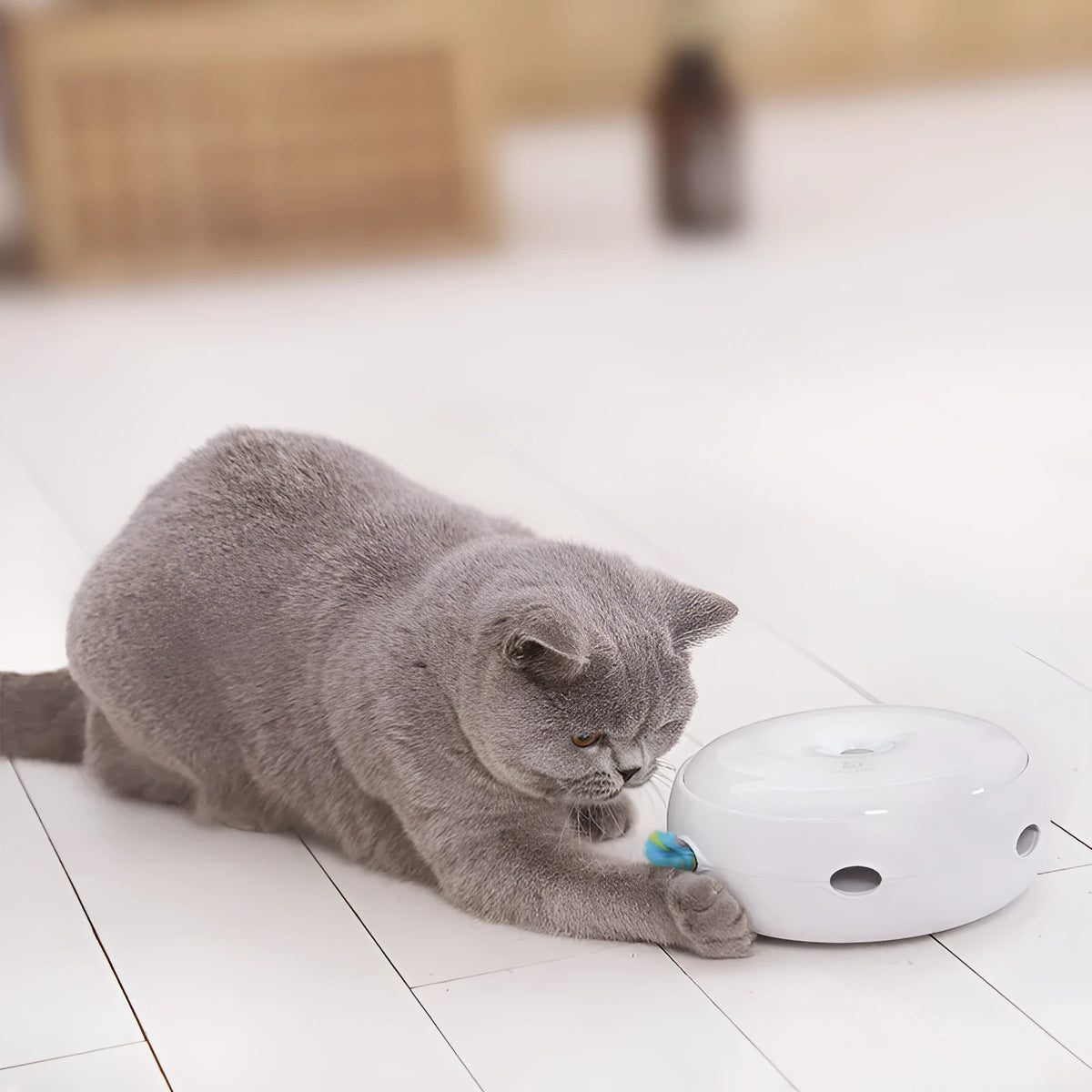 White electric cat turntable toy, 17.5cm donut shape, ABS body, automatic rotating interactive pet toy