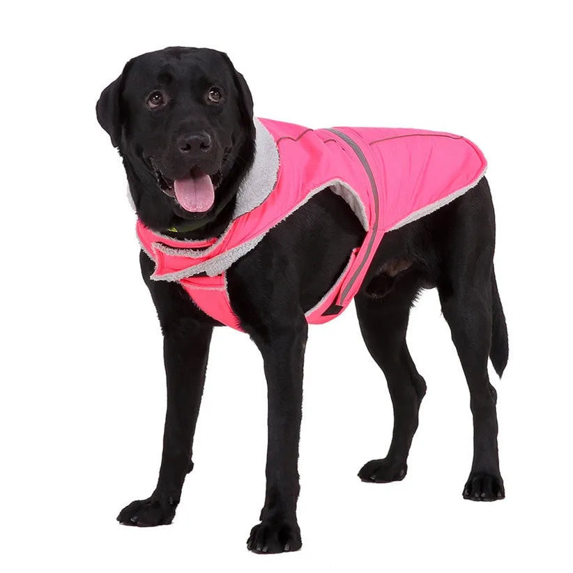 Reflective dog coat in pink or purple, polyester, sizes S to XXL for winter night walks