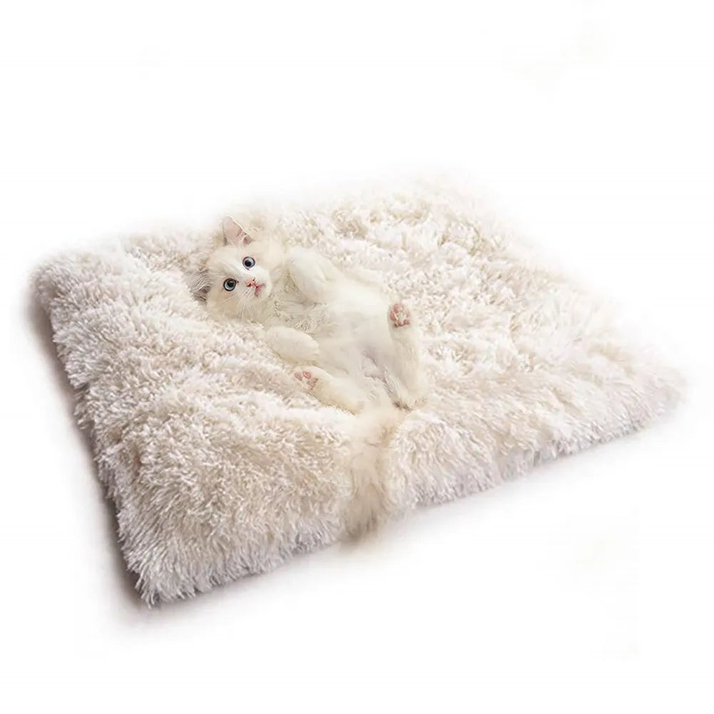 Velvet cat bed 61x51cm seat cushion in white or grey, also usable as pet mat or blanket