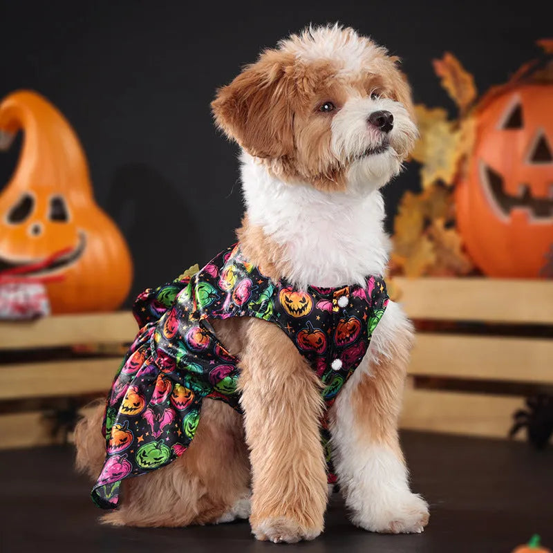 Halloween dog costume with angel wings design in bright pumpkin colour on a small dog.