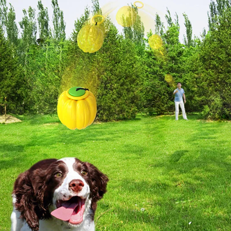 Pumpkin-shaped orange dog chew ball with squeaker for small dogs on a wooden floor.