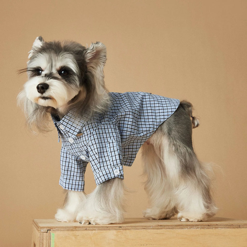 Light blue cotton plaid dog shirt for small dogs and cats, available in XS to XXL
