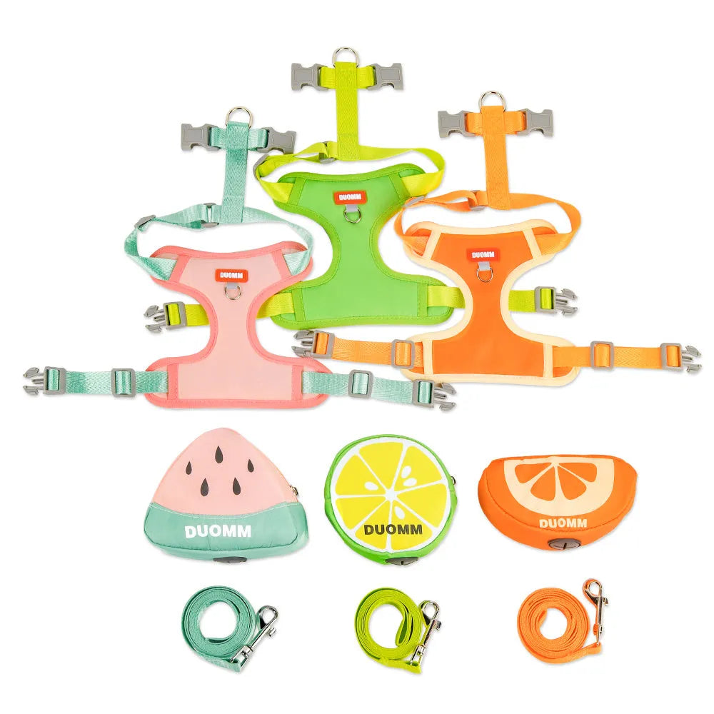 Pet backpack and chest strap set with anti-slip traction rope in green, orange or pink colours