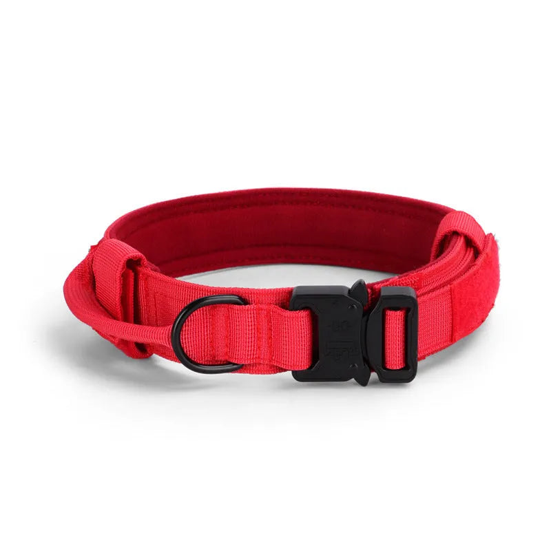 Adjustable military tactical dog collar in nylon webbing with metal buckle, 3.8cm wide, available in multiple colours and sizes