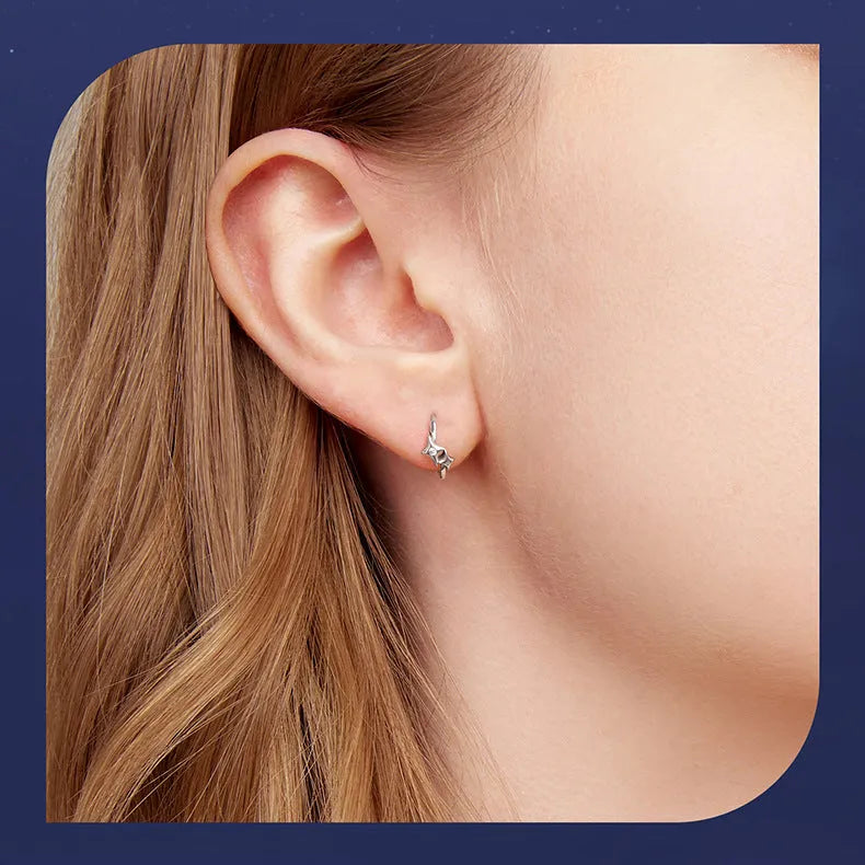 Fashion Star S925 sterling silver earrings with inlaid zircon, colour BSE1210, on display