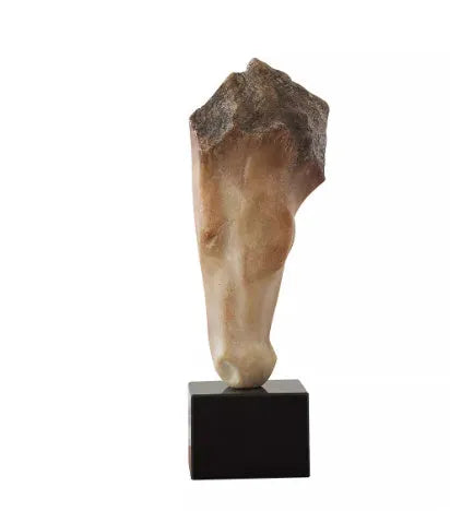 French retro style abstract horse head desktop sculpture with carved texture.
