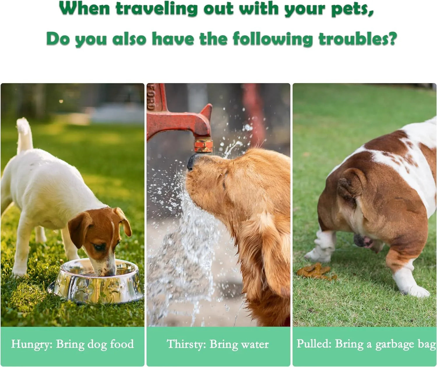 Green 3-in-1 portable pet water bottle with food container and bag dispenser, held by its strap.