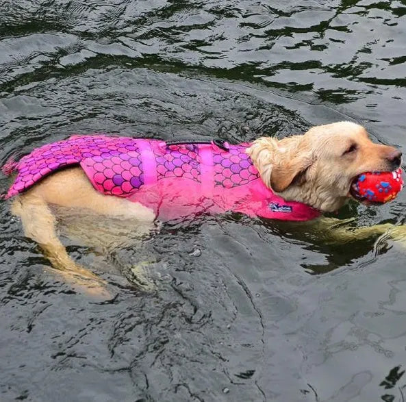 Pet life jacket in 600D polyester oxford with foam filler, available in pink, gray, shark, red, clownfish.