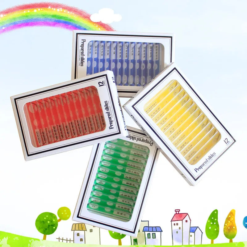 48-piece plastic microscope slide set for children with colour-coded plant, insect, and animal specimens