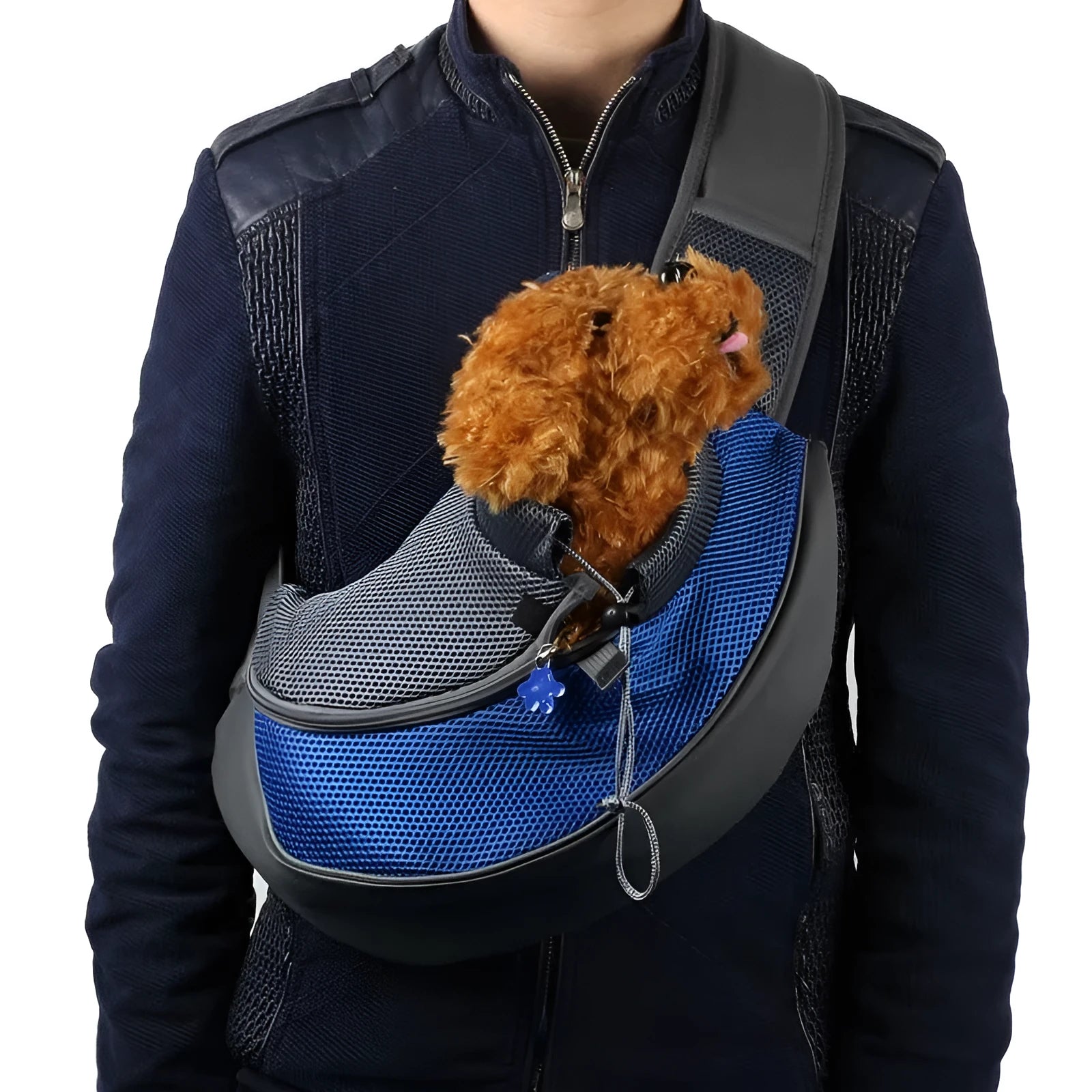 Blue pet backpack carrier for a small dog, showing backpack straps and mesh panel.