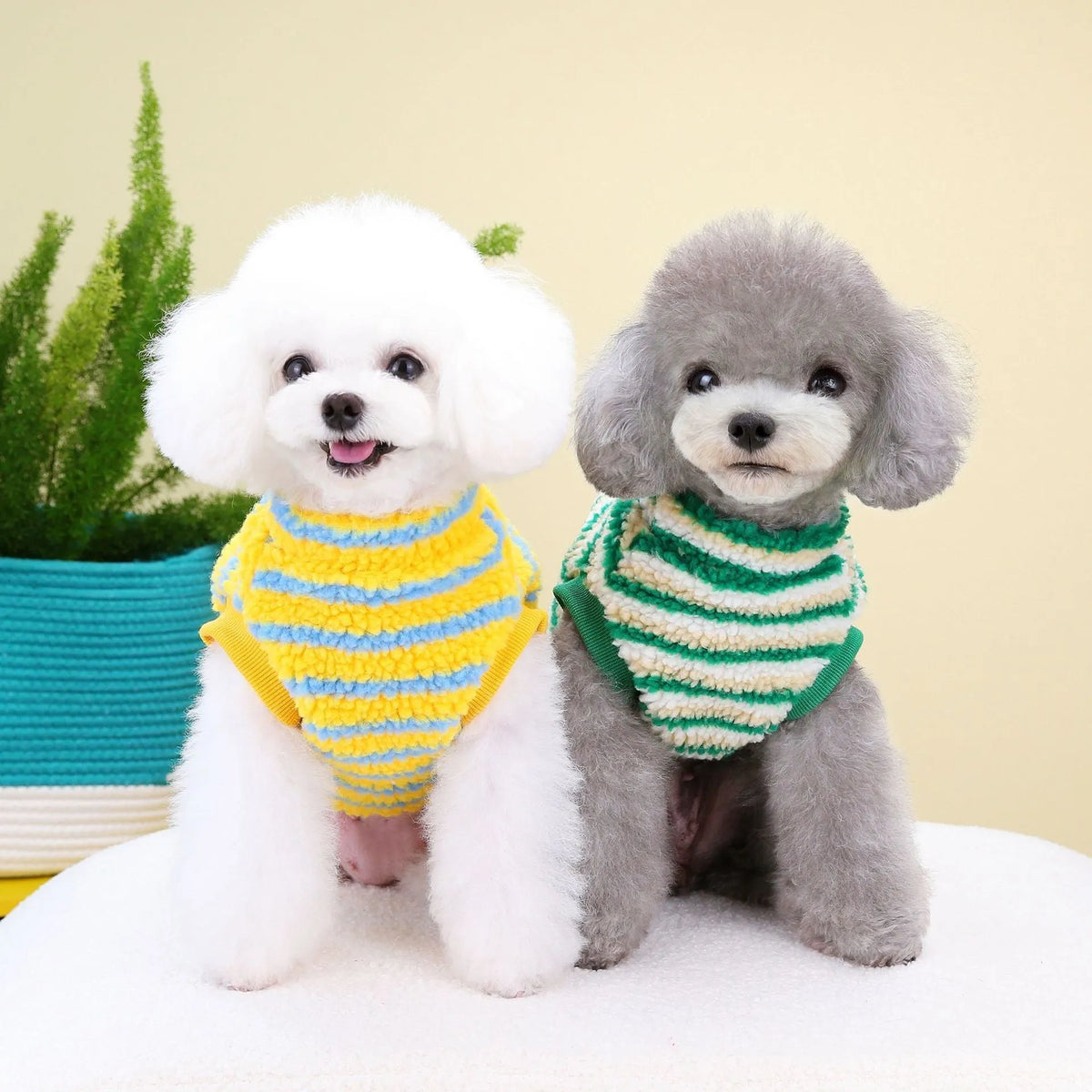 Thickened striped bear pet top in polar fluff, yellow or green, sizes S to XXL