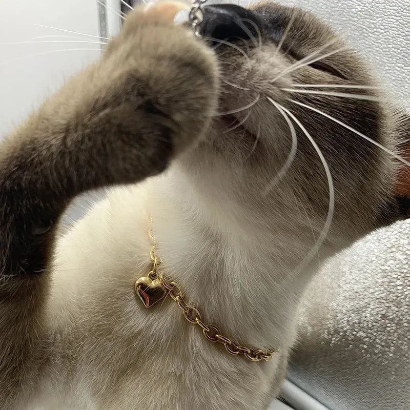 Stainless steel pet cat dog love heart pendant necklace in gold and silver finishes