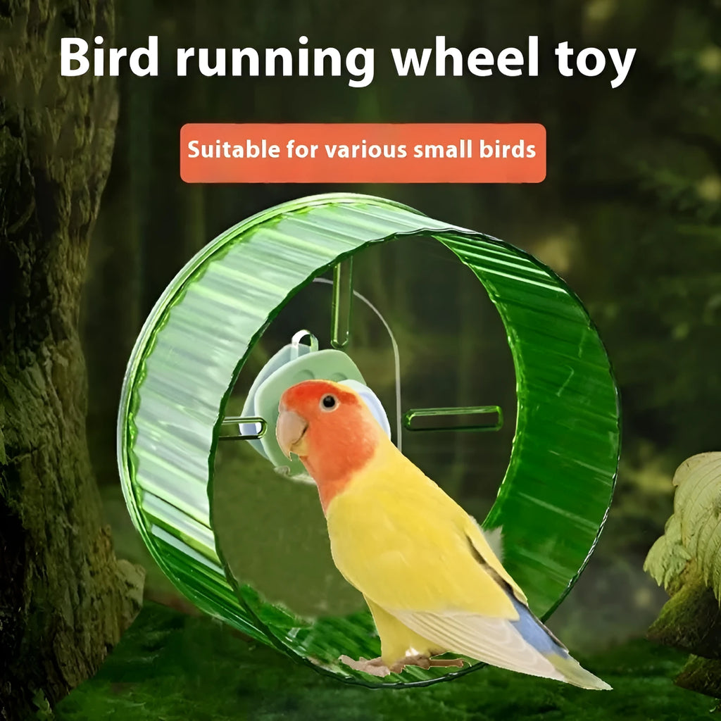 A plastic parrot running wheel toy for bird cages, shown in a transparent colour.