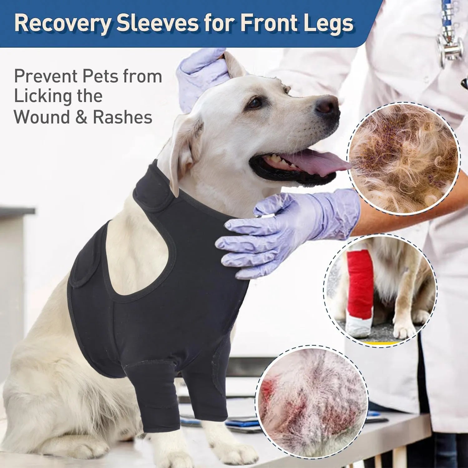 Pet front leg sleeve wrap in black on a dog's front leg, supporting healing and preventing licking