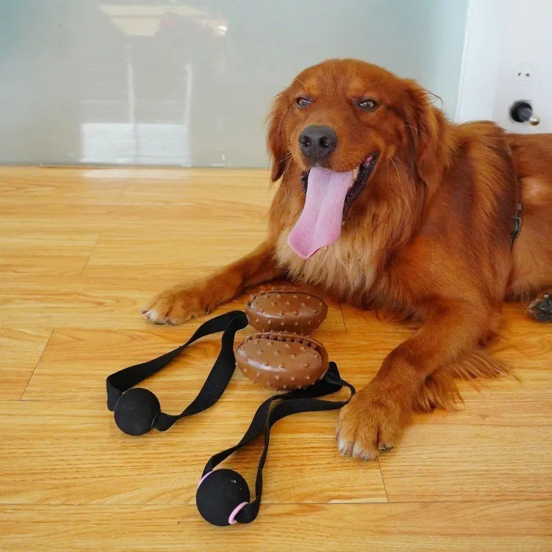 Brown coffee bean-shaped dog chew toy with textured TPR surface and white rope knots.