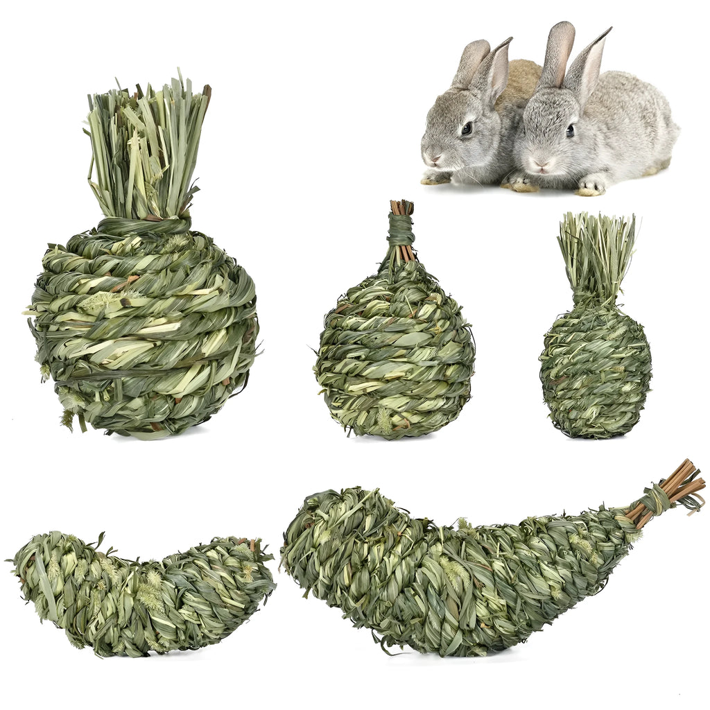 Pet Rabbit Relieving Stuffy Toys Timothy Grass Guinea Pig Bite Gnaw Molar Snacks Apple Banana Eggplant Pear Pineapple 25 8cm 8 12cm 9cm 13.5 5cm 11 21cm Small Animal Chew Enrichment Accessories