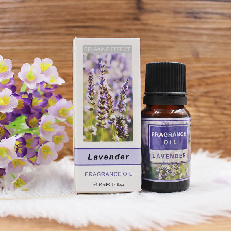 Set of 12 plant aromatherapy essential oil bottles with fragrances including Lavender, Lemon, and Mint for fresh air