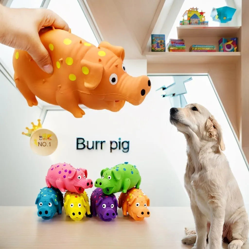 Pig shaped latex dog chew toy in various colours with squeaker for aggressive chewers