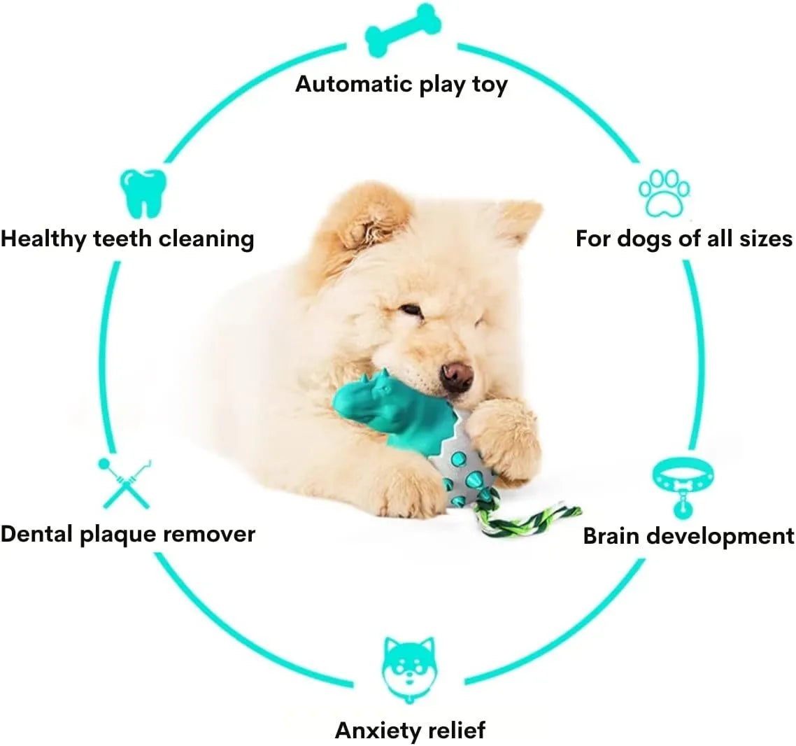 Blue dinosaur-shaped dog chew toy with textured rubber body and green nylon rope tails.