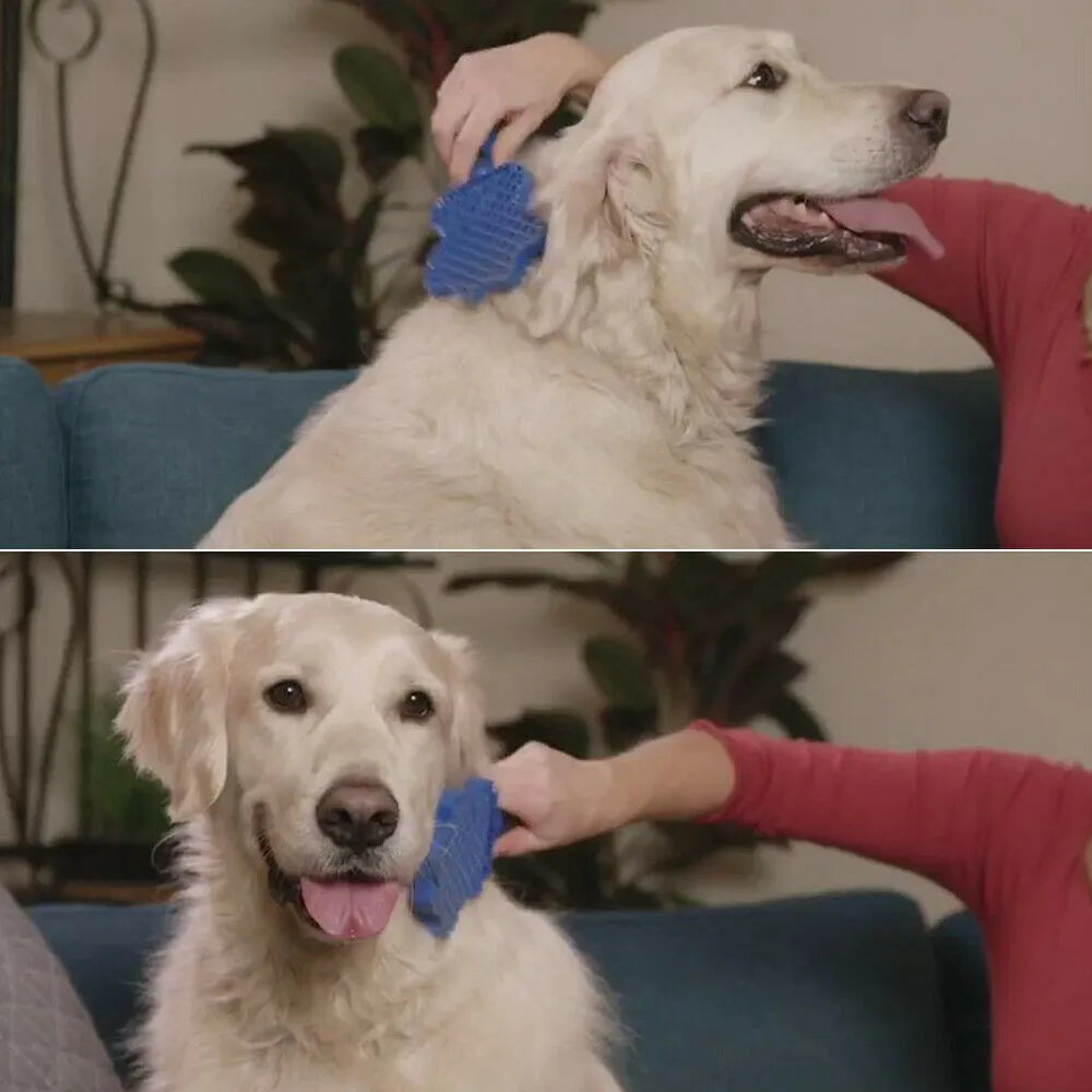 Blue pet hair remover brush 23 × 9 × 2.5cm with flexible silicone bristles and reverse shampoo comb for dogs and cats