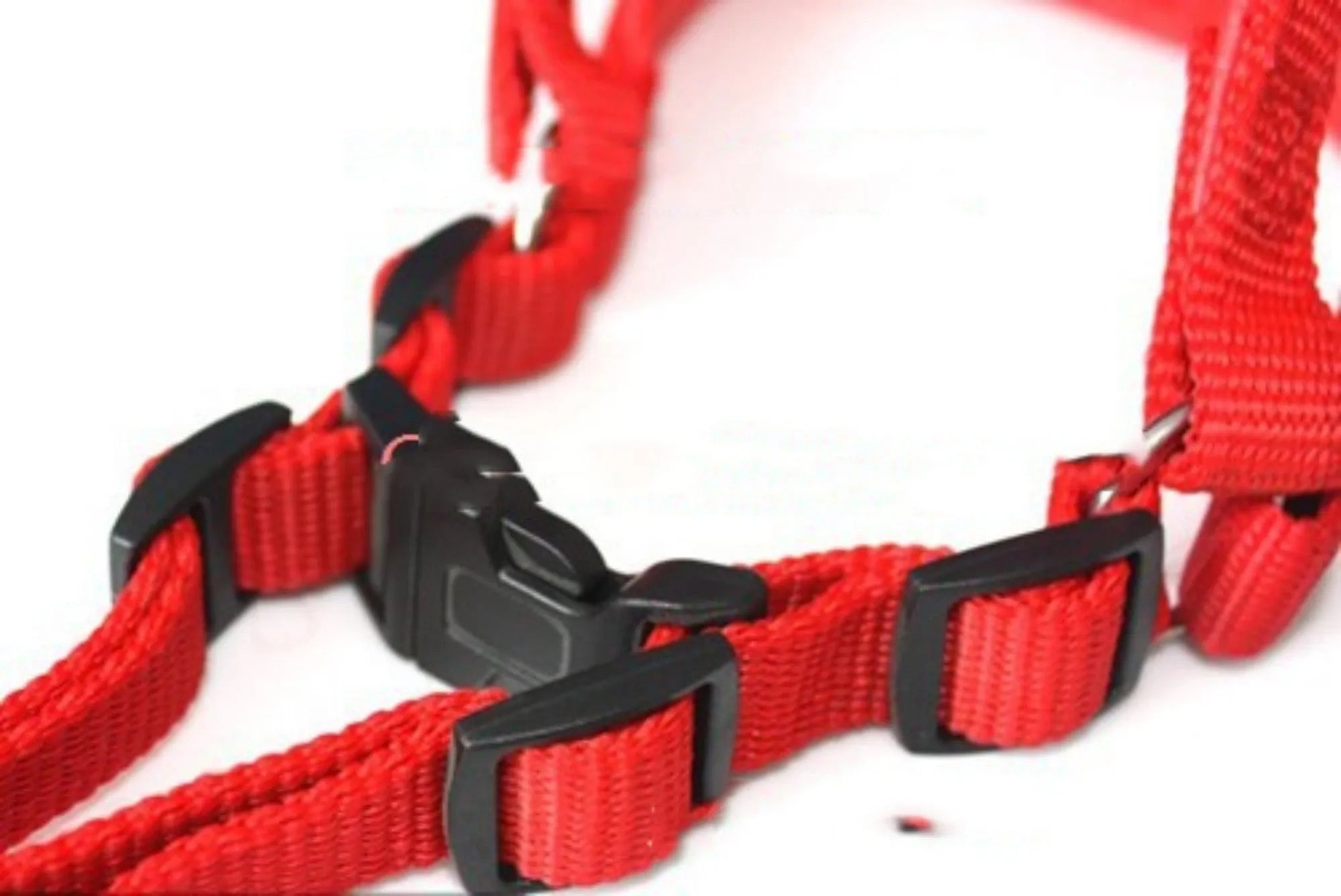 Blue nylon dog harness with soft lining and polypropylene foam, shown as a traction belt for pet control.