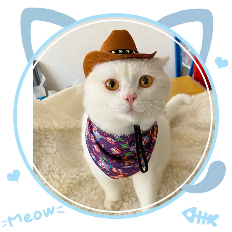 British-style brown cat cowboy hat with decorative trim on a feline model