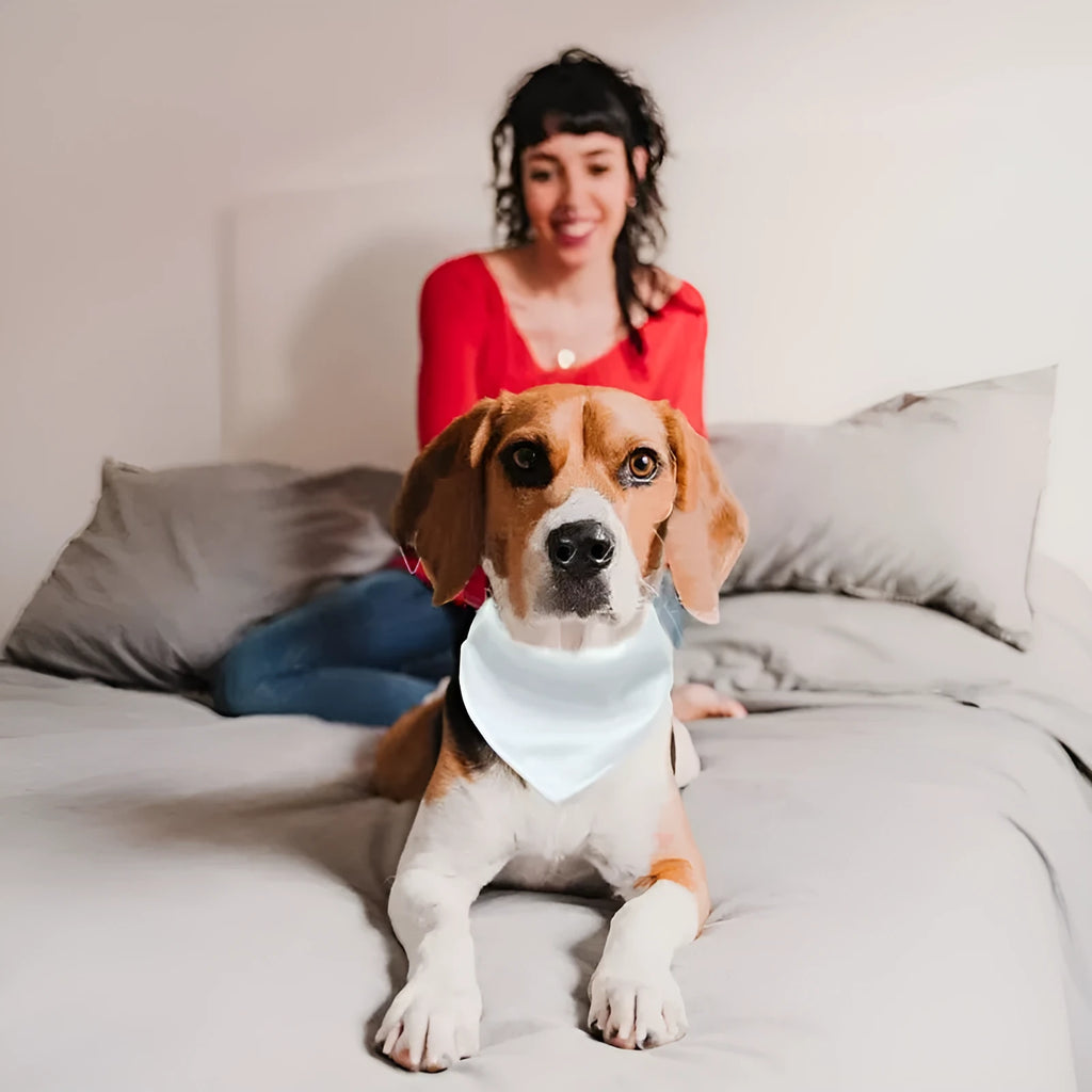 Blank white polyester dog scarf for custom thermal transfer printing in four sizes.
