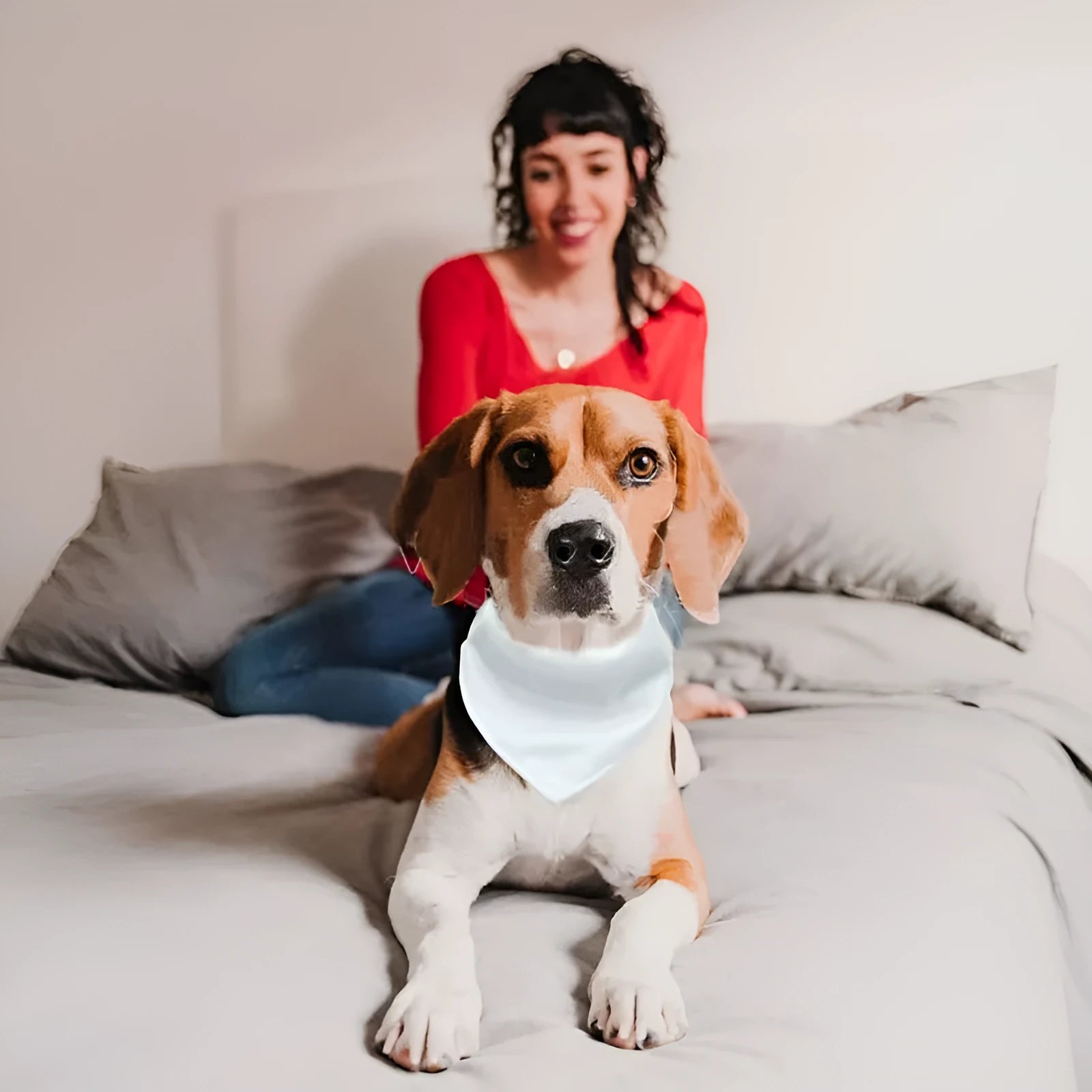 Blank white polyester dog scarf for custom thermal transfer printing in four sizes.